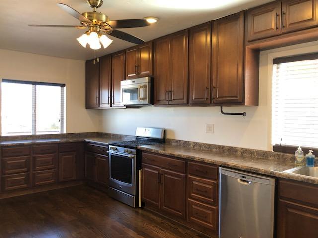 kitchen featuring dark countertops, a healthy amount of sunlight, stainless steel appliances, and dark wood-type flooring