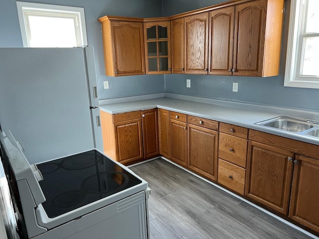 kitchen featuring light wood finished floors, white electric range, brown cabinets, and freestanding refrigerator