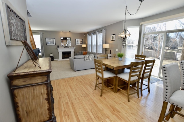 dining room featuring a chandelier, a fireplace with raised hearth, and light wood-style flooring