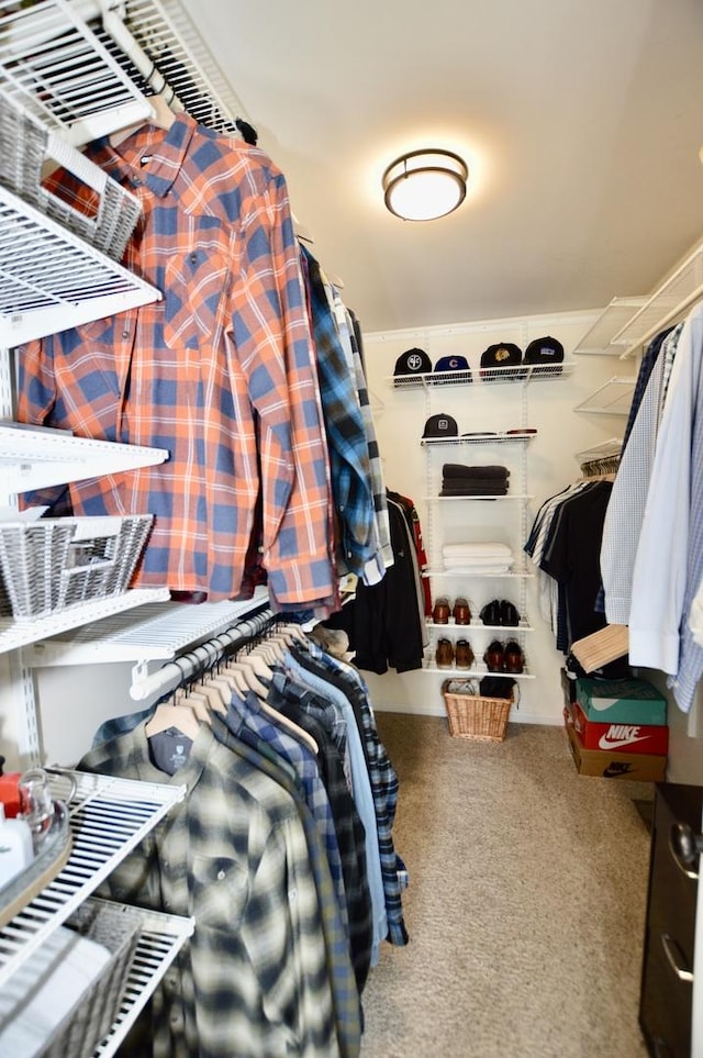 spacious closet with carpet flooring