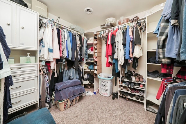 walk in closet with carpet floors