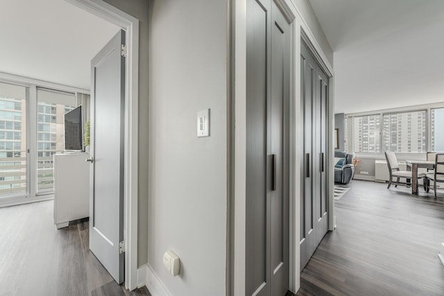 hallway with wood finished floors