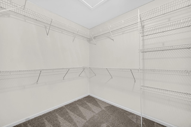 spacious closet featuring carpet flooring