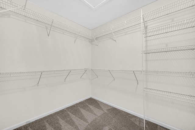 11905 Sterling Dr, Orland Park, IL 60467 - spacious closet with carpet flooring