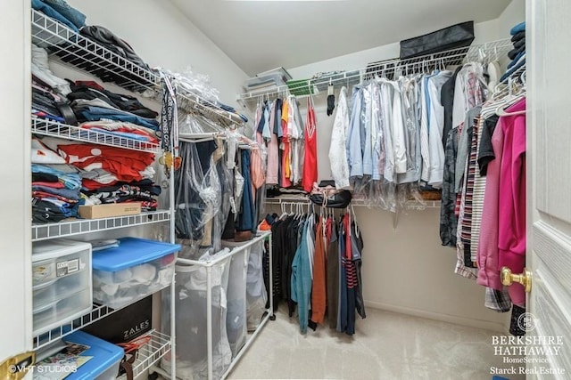 spacious closet featuring carpet flooring