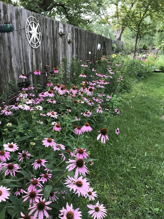 exterior details with fence