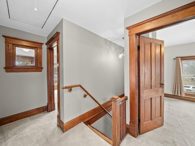 stairs featuring carpet, attic access, and baseboards