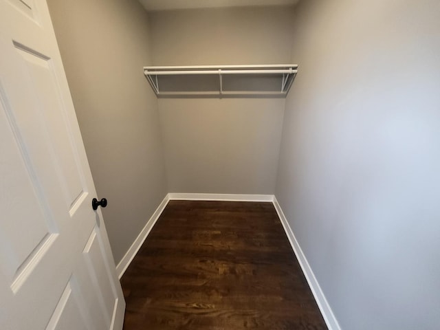 walk in closet featuring dark wood-type flooring