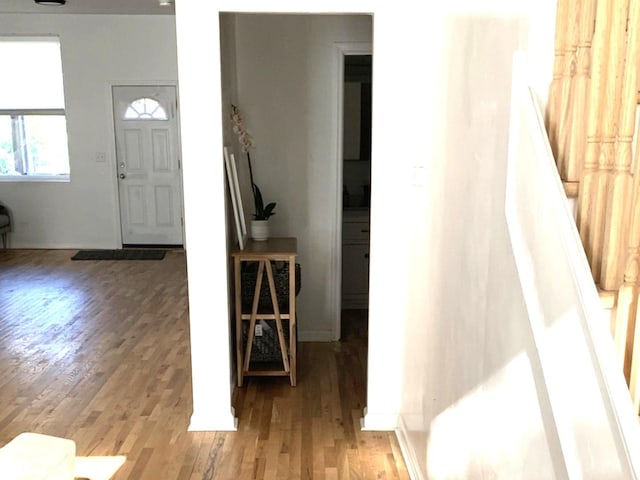 entrance foyer featuring light wood finished floors