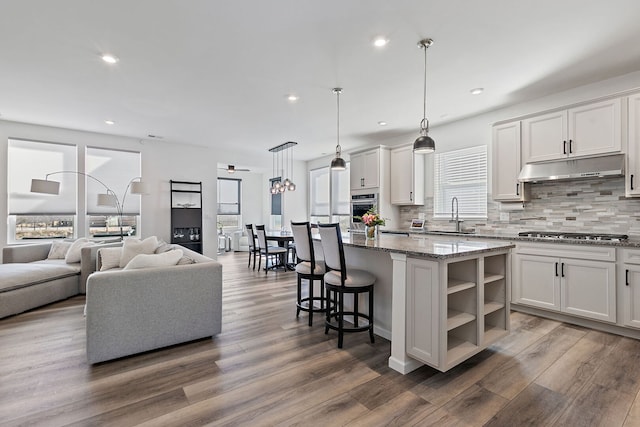 kitchen featuring under cabinet range hood, stainless steel appliances, wood finished floors, and a sink