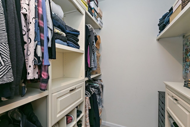 view of walk in closet