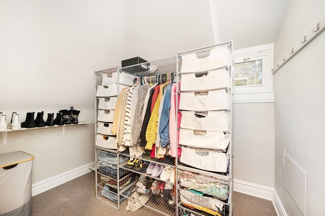 spacious closet featuring carpet floors