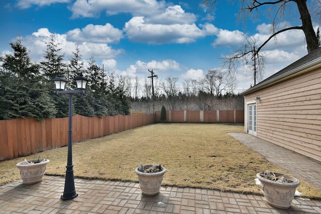 view of yard featuring a patio area and a fenced backyard