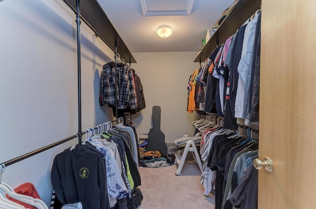 walk in closet with carpet flooring and attic access