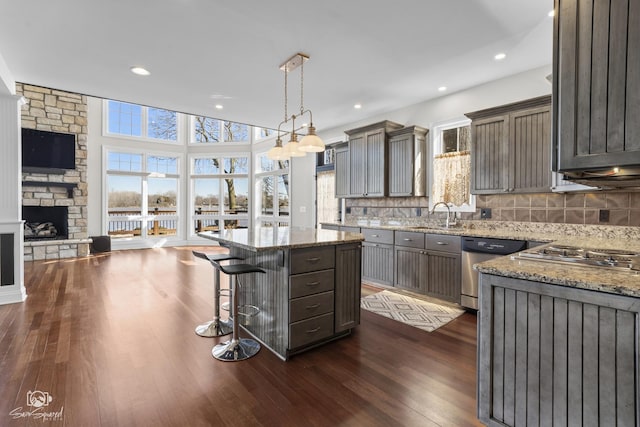 8043 Tamarack Ln, Morris, IL 60450 - kitchen featuring stainless steel appliances, healthy amount of natural light, open floor plan, dark wood-style flooring, and recessed lighting