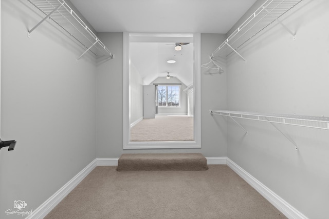 spacious closet featuring carpet floors