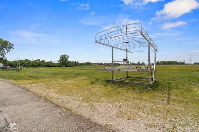 8043 Tamarack Ln, Morris, IL 60450 - surrounding community with a yard