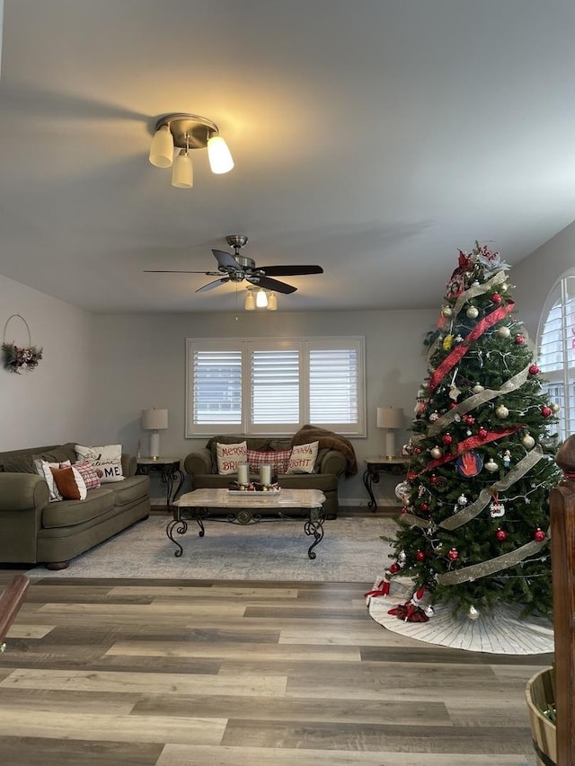 living area with a ceiling fan and wood finished floors