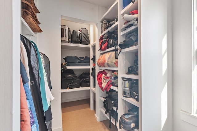 walk in closet with carpet flooring