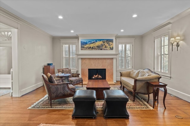 living area with a premium fireplace, wood finished floors, baseboards, and ornamental molding