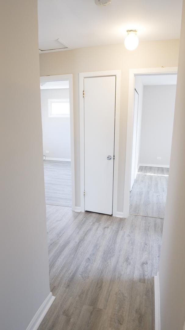 hall with baseboards and wood finished floors