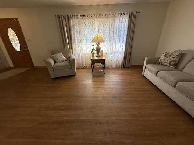 living area featuring wood finished floors