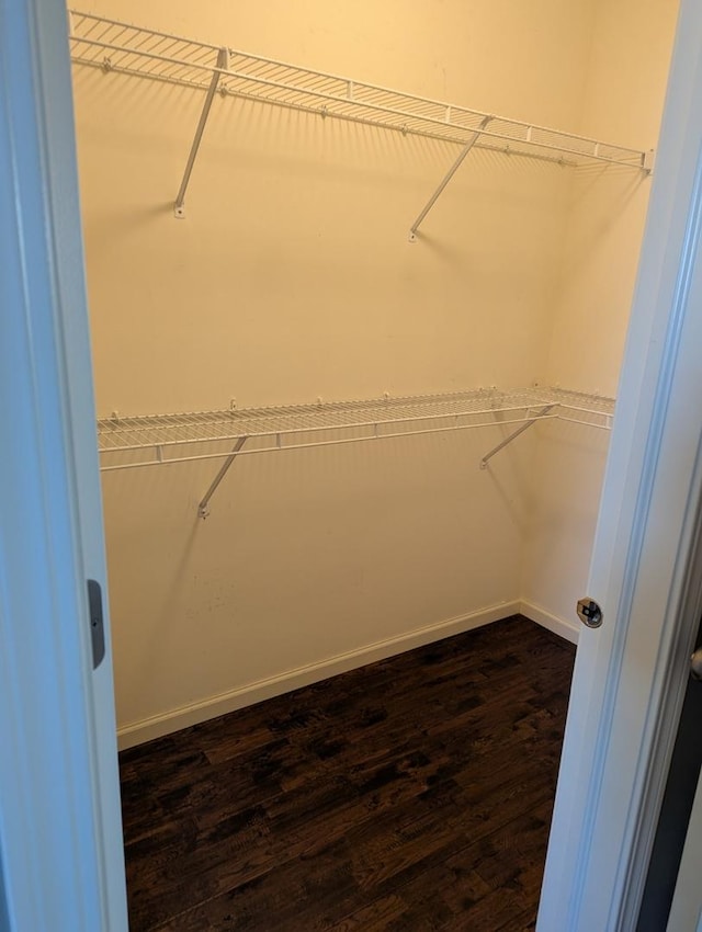 spacious closet with dark wood-style floors