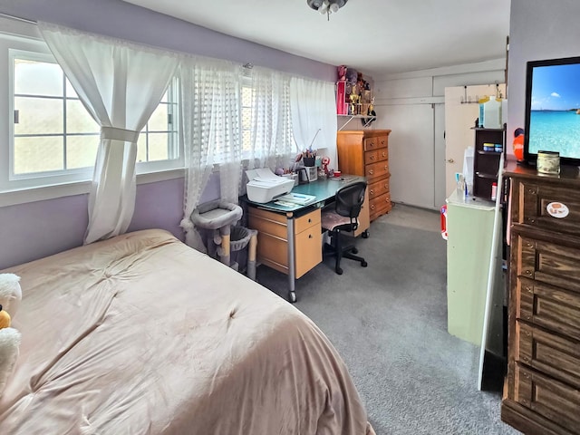 bedroom with carpet floors