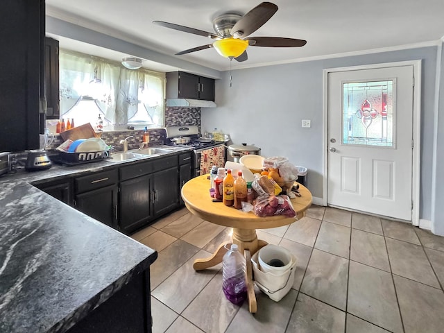 kitchen with ornamental molding, stainless steel gas stove, a sink, dark cabinetry, and under cabinet range hood