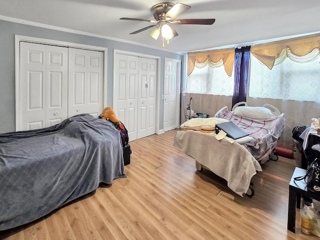 bedroom featuring light wood-type flooring, two closets, ceiling fan, and crown molding