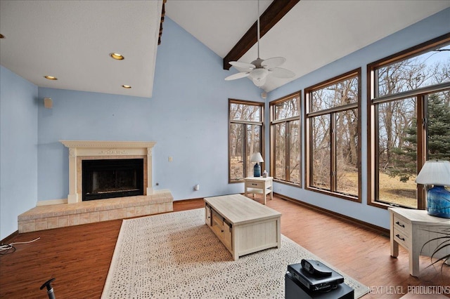 living area featuring a fireplace with raised hearth, a healthy amount of sunlight, and wood finished floors