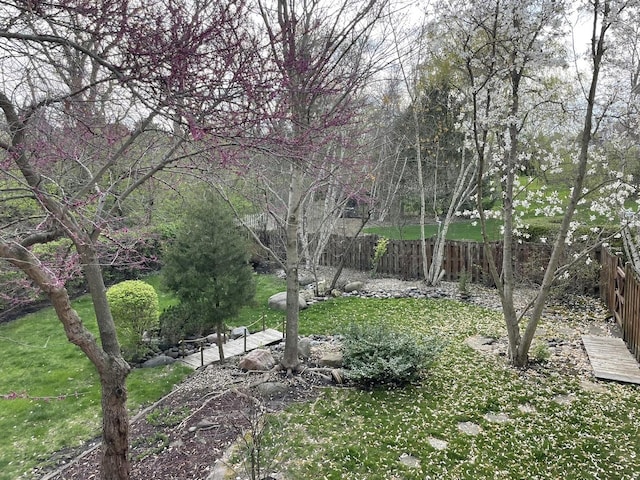view of yard featuring a fenced backyard