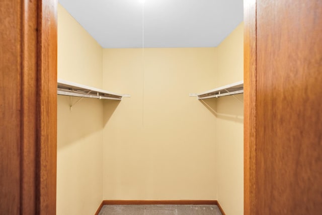 walk in closet with carpet flooring