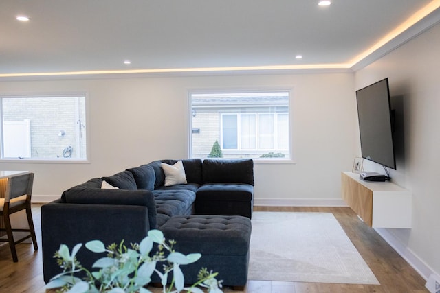 living room featuring baseboards, wood finished floors, and recessed lighting