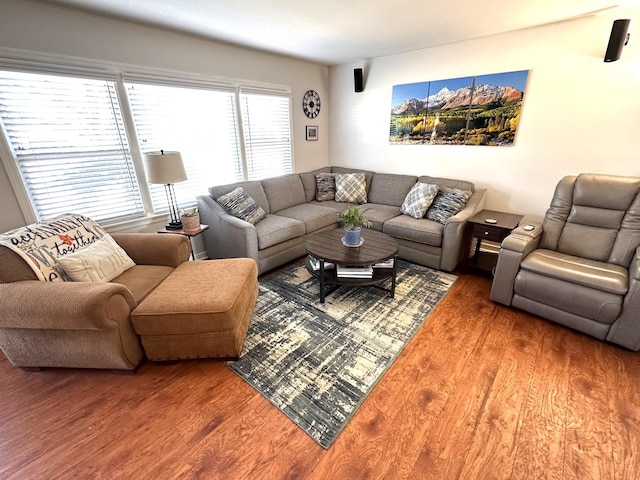 living room featuring wood finished floors