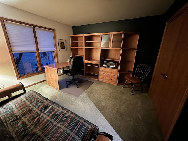 office featuring carpet