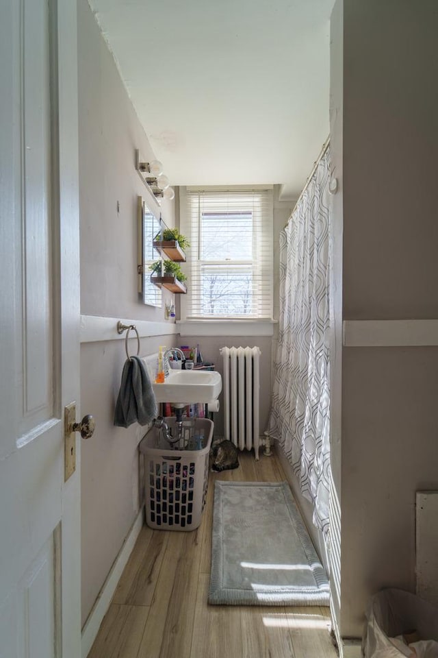 bathroom with a shower with shower curtain, radiator heating unit, wood finished floors, and a sink