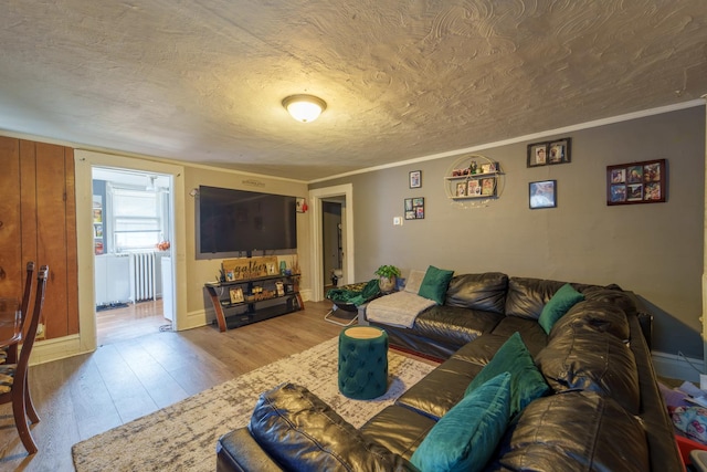 living room with a textured ceiling, wood finished floors, and ornamental molding