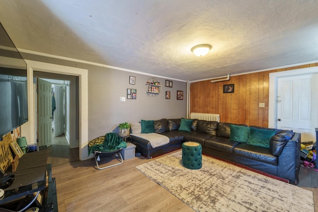 living area featuring light wood-type flooring, a textured ceiling, radiator heating unit, and crown molding