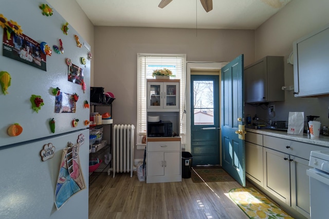 kitchen featuring white appliances, radiator, light wood-style flooring, a sink, and light countertops