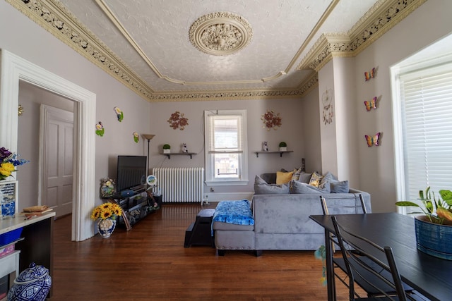 living room featuring ornamental molding, radiator, a textured ceiling, and wood finished floors