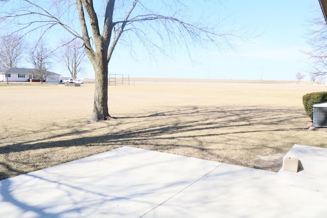 view of yard featuring a patio