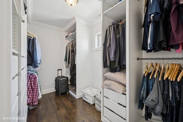 walk in closet featuring wood finished floors