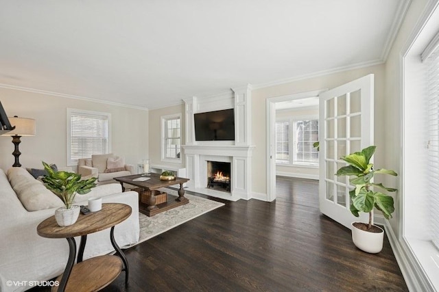 living room featuring baseboards, dark wood-type flooring, ornamental molding, and a fireplace