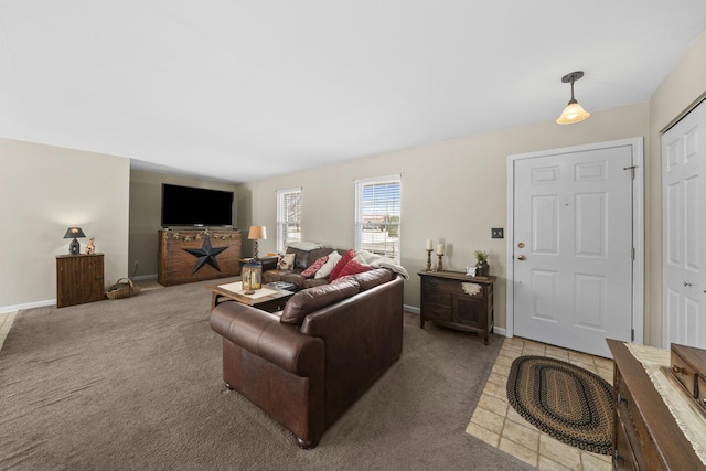 606 Effie Dr, Earlville, IL 60518 - living room featuring carpet floors and baseboards