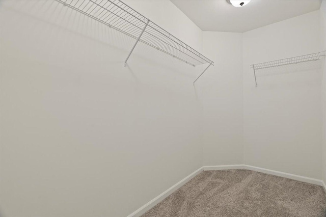 walk in closet featuring carpet