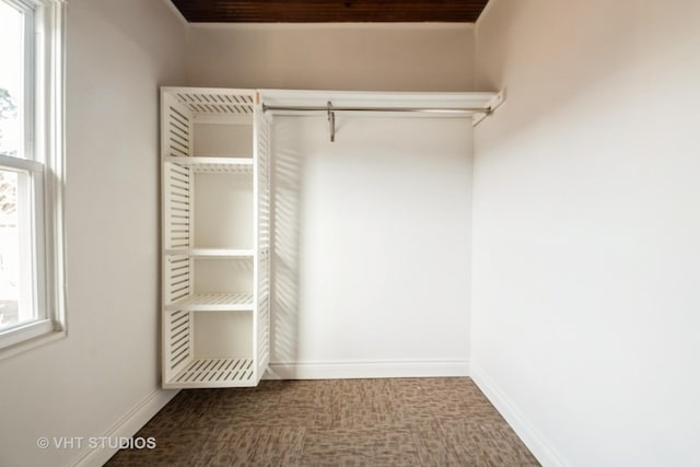 spacious closet with carpet floors