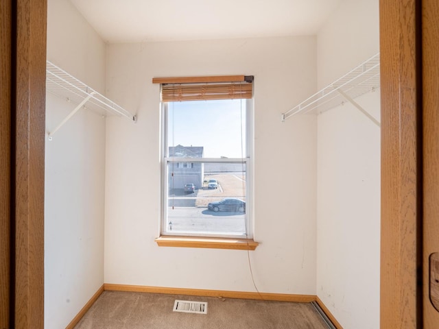 spacious closet featuring visible vents and carpet floors