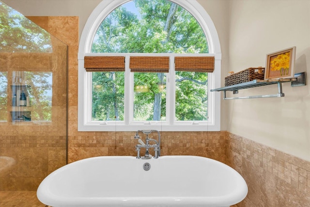 full bath featuring a wealth of natural light and a freestanding bath