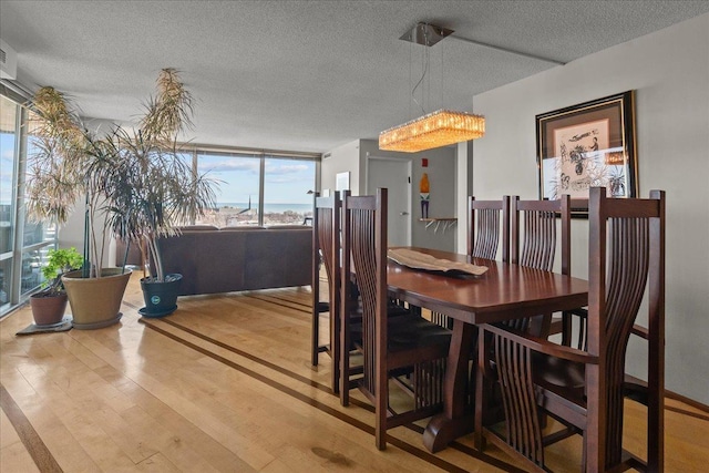 dining room featuring a textured ceiling and wood finished floors